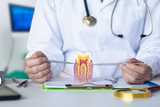 Best Pediatric Emergency Dentist in Woodstock, IL